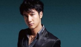 娱乐圈吃瓜王力宏是谁,揭秘明星圈层背后的八卦风云